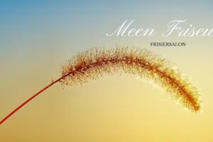 Meen Friseur