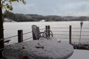 Michi&rsquo;s Haargefl&uuml;ster Friseur
