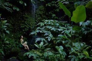 midori Salon & Spa GmbH