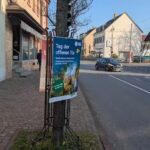 MIRO&rsquo;S HAIRPOINT