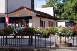 MIRO&rsquo;S HAIRPOINT