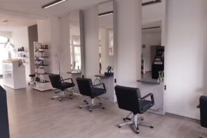 Mücke Die Friseurmeisterin