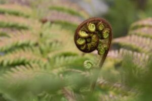 Naturheilkunde Beraterin &ndash; Jutta-Maria Martin