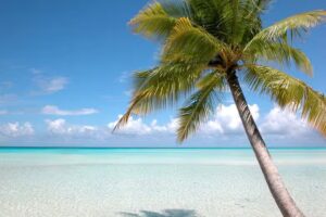 Perfect Style Dortmund