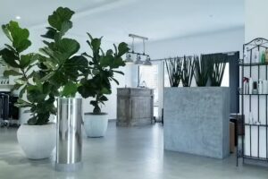 Perfekt Look &ndash; Friseur