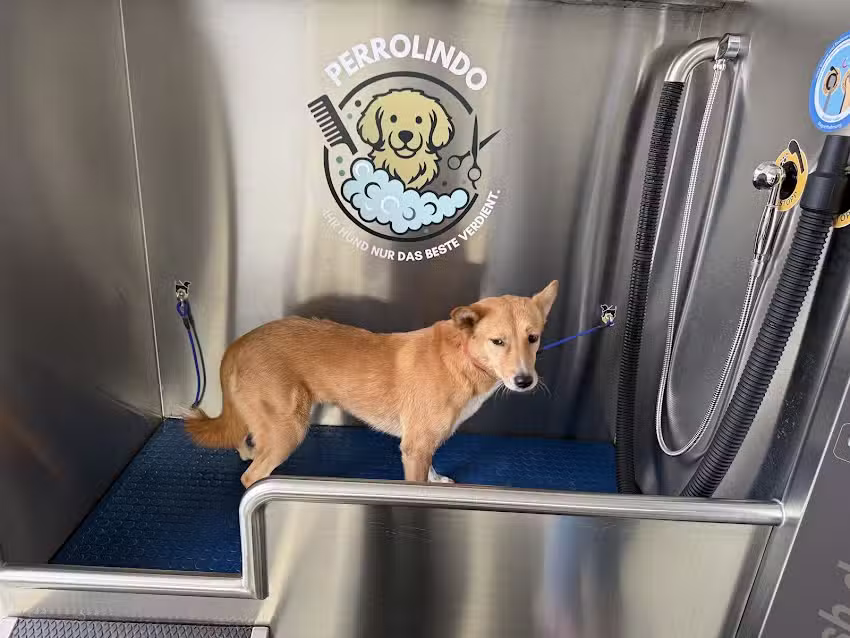 Perrolindo SB Hundewaschbox & Friseur