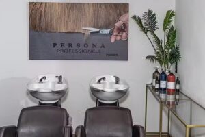 Persona Professionell