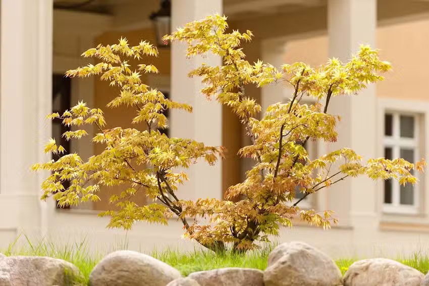 Praxis Prof. Dr. med. habil. Uwe Paasch