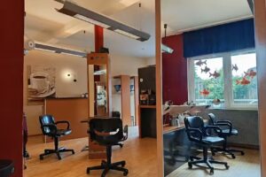 prima capelli Norbert Hollenhorst