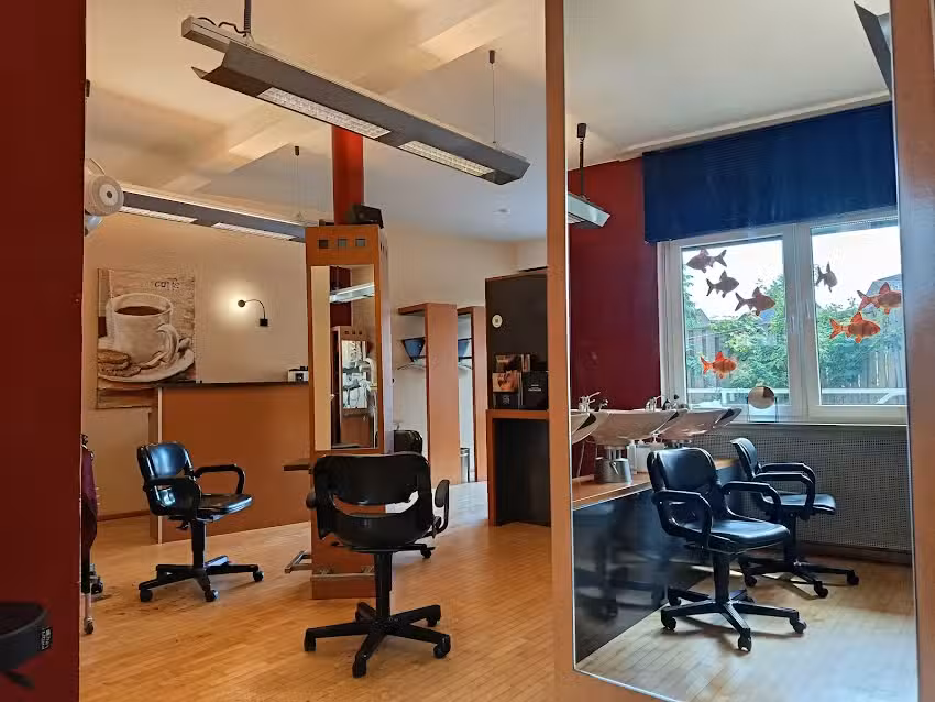 prima capelli Norbert Hollenhorst