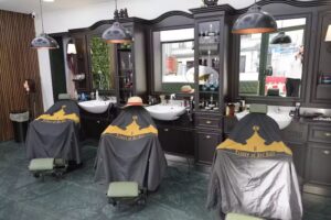 Prince of bel Hair 2