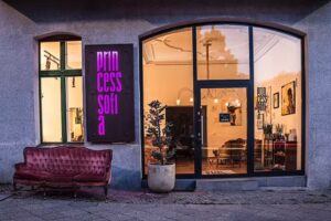 Princesssofia Hair Salon