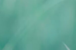 Roland Benz Frisuren