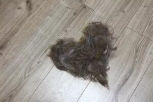 Salon by Jessica Ganghofer