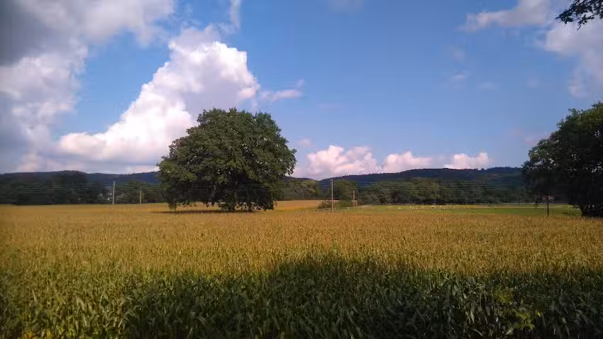 Salon Crehairtiv Inh. Daniela Salewski