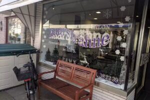 Salon Haarstr&auml;hne