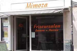 Salon Mimoza Demiri