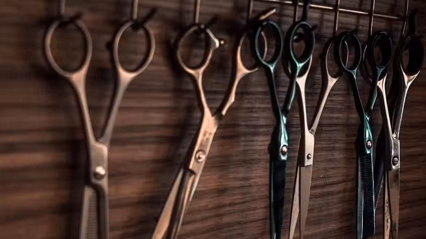 Salon Sch&ouml;n Sein