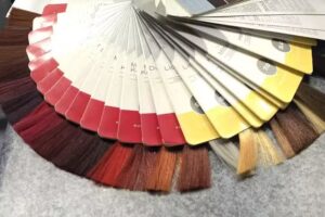 Salon &Uuml;lk&uuml;