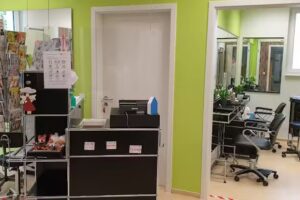 Salon Well-Kamm im KKM