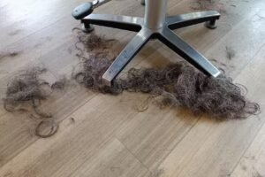 Sandras Haarcreationen