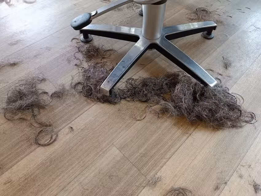 Sandras Haarcreationen