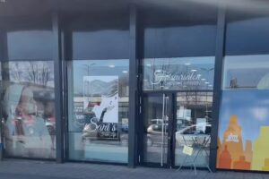 Sani&rsquo;s Hair Life