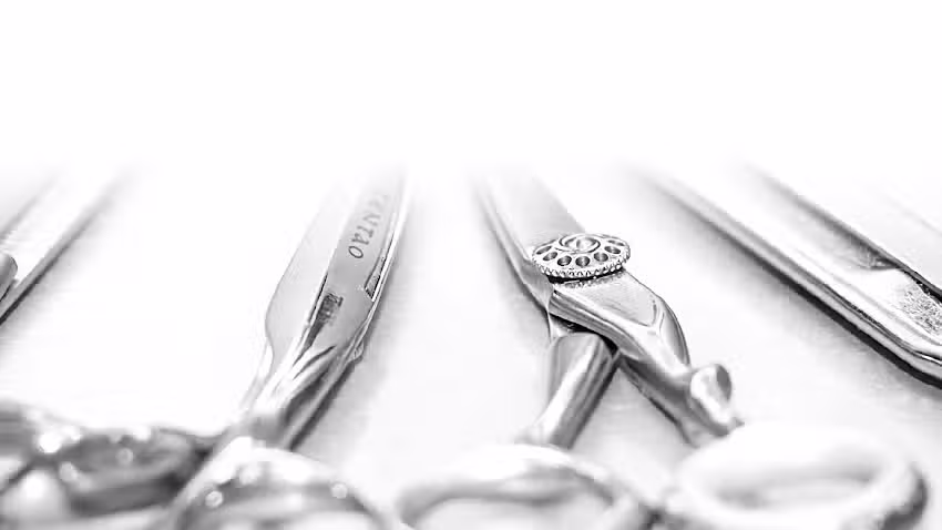 Schnittpunkt &ndash; Frisuren die sch&ouml;ner machen