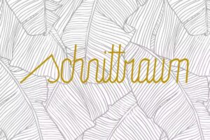 Schnittraum Schwabing Maxvorstadt