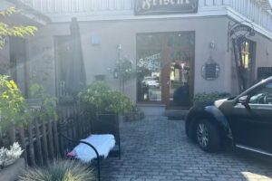 Schnittstelle Susanne Friedrich