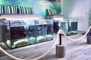 Sch&ouml;ne Auszeit Sta&szlig;furt