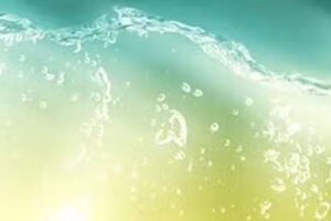 Shampoobar, Dirk Grebe Friseur