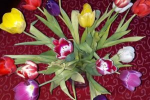 Siegel Ina Per&uuml;ckenfachgesch&auml;ft