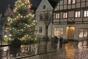 Silke Gr&auml;fe- Haare Verlockend