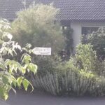 Silvia&rsquo;s Haartreff