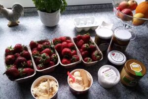 Steffi Zwingmann Friseur