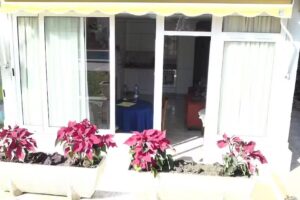 Steffis Friseurst&uuml;bchen