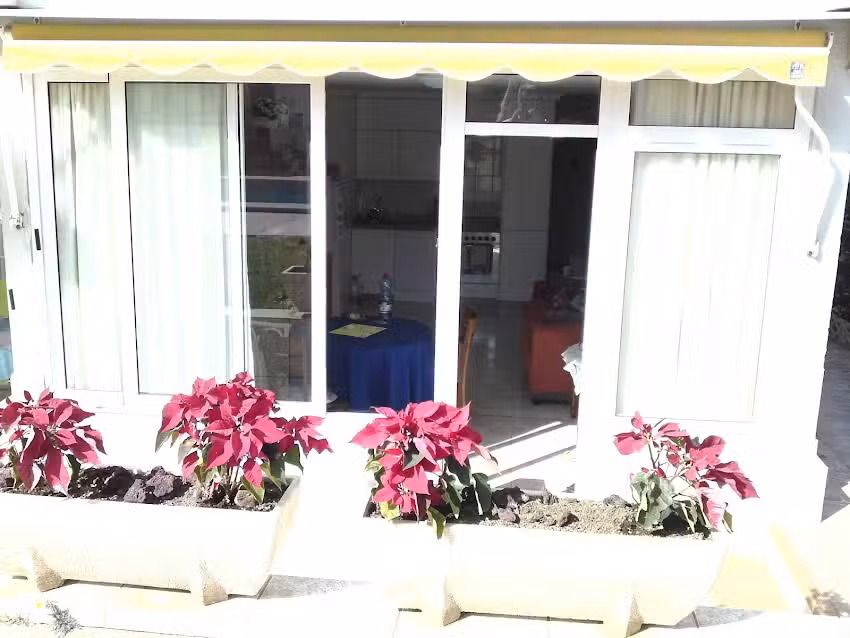 Steffis Friseurst&uuml;bchen