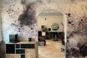 Studio Regenbogenschwarz