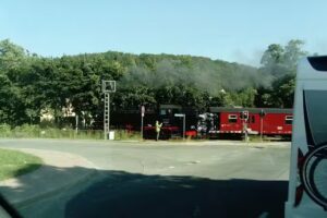 Susann Sandtner-Thomas