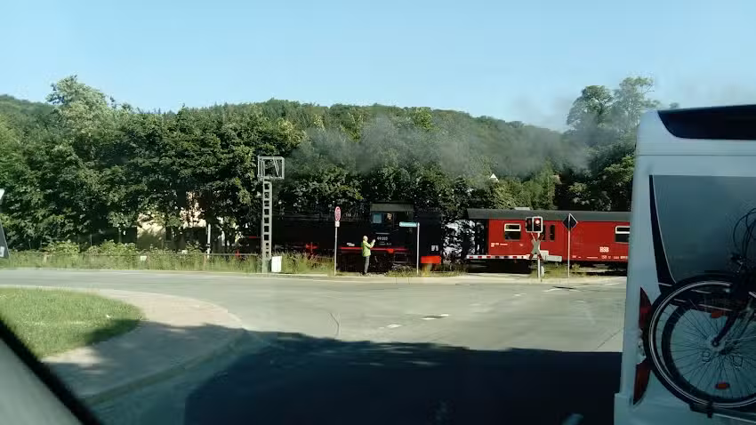 Susann Sandtner-Thomas