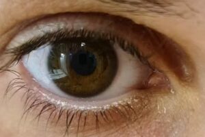 Sylvia&rsquo;s Beauty Lounge