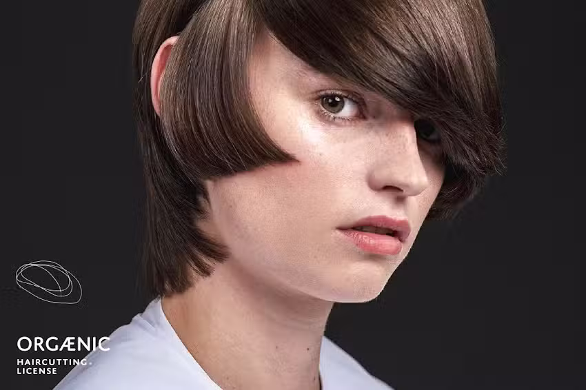 Talking Heads Friseure