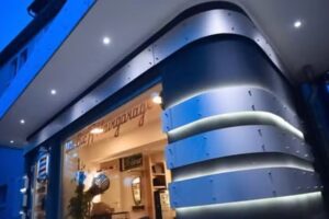 The Bic A Hairgarage