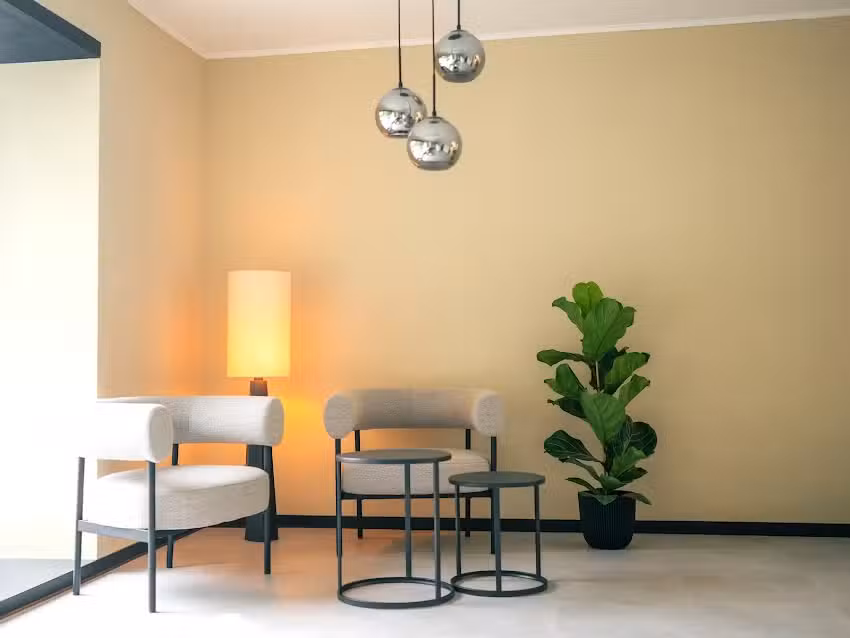 The Hair Nest by Vanessa Eul