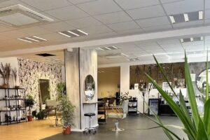 Vanessa Plenker Hair & Beauty