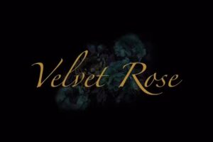 Velvet Rose Salon