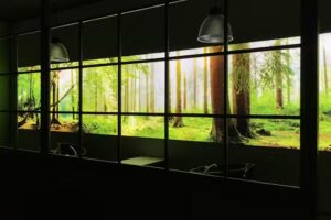 Verenas Haarmanufaktur