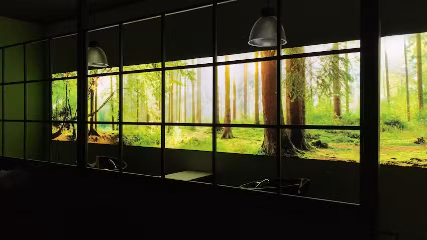 Verenas Haarmanufaktur