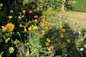 Veronika Felithan Friseursalon